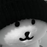 陆添辰头像