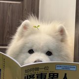 周昊头像